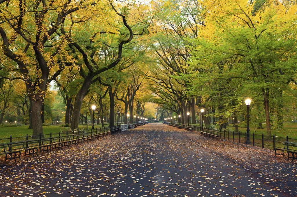 Hudson Central Park, A Morgans Hotel Нью-Йорк Екстер'єр фото